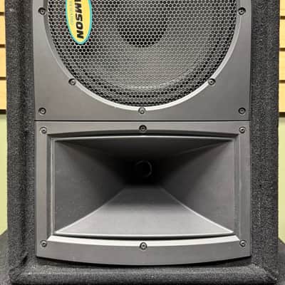 Samson Resound RS10M 10