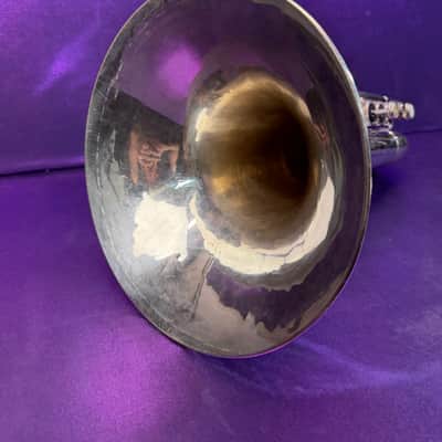 Immagine Blessing  M-300 - Silver - 6