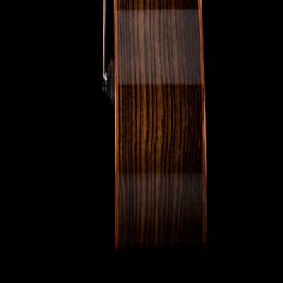Taylor Custom GA Rosewood/Adirondack Spruce - Midnight Burst #74119 image 7