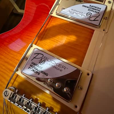 Epiphone Les Paul Standard PRO USA Pickups image 13
