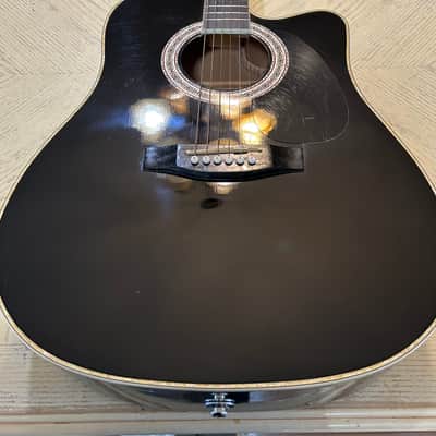 Esteban American Legacy Acoustic/Electric Original case, Candy and Autographed COA 2000’s - Midnight Steel image 2