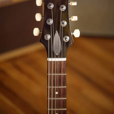 Collings 360 ST owned by Ray LaMontagne image 5