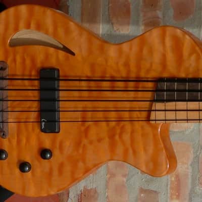Veillette Paris Lined Fretless image 3