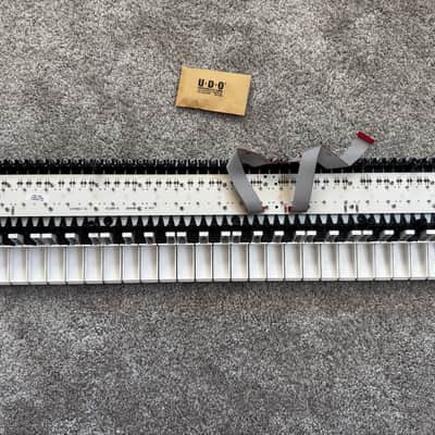 UDO Audio Super 6 Standard 49 key Fatar Keybed 2023 image 2