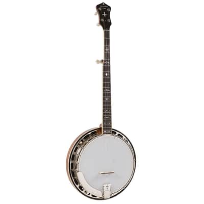 Immagine Recording King Madison Tone Ring Banjo - Mahogany - 2