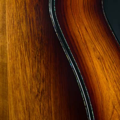 Taylor PS14ce Presentation Series Honduran Rosewood and Adirondack Spruce with Pickup Used (2025) image 21