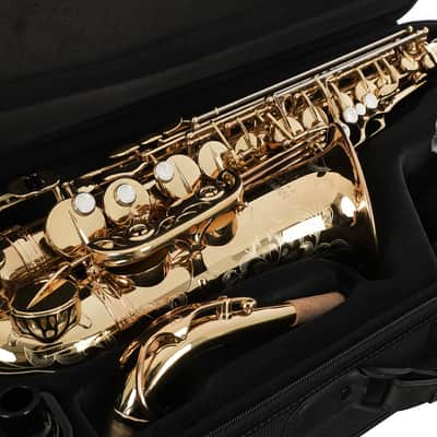 Andreas Eastman EAS850 Professional Alto Saxophone with Case image 6