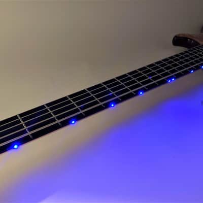 Alembic Rogue 5st. 2008 image 8