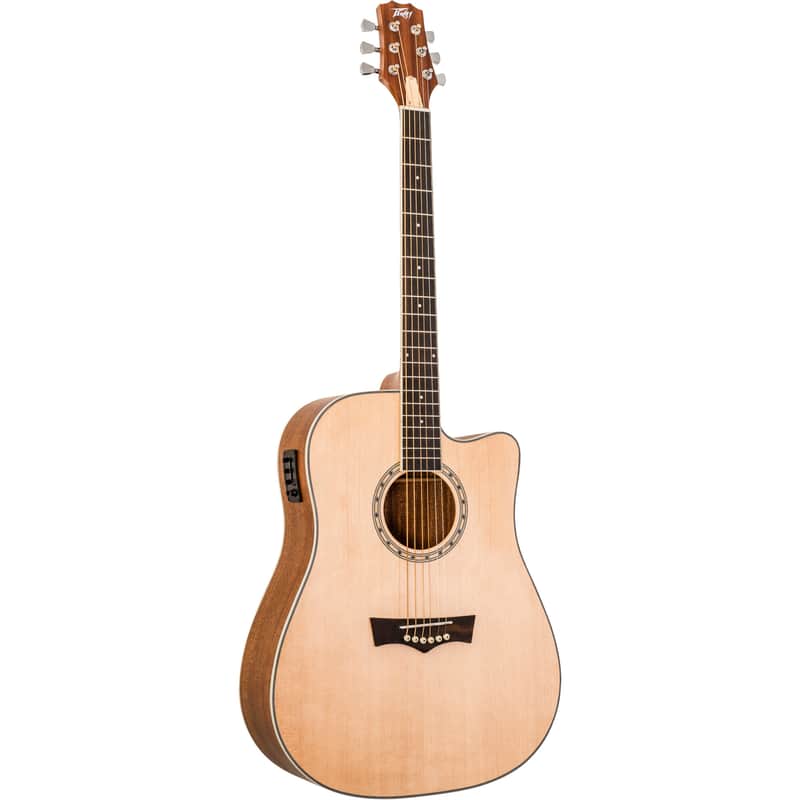 Peavey Delta Woods DW-2 CE Electro-Acoustic Guitar image 1