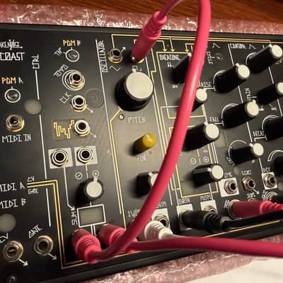 Make Noise 0-Coast Patchable Synthesizer 2008 - Present - Black image 5