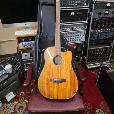 Fender Victor Bailey VB-2 acoustic bass guitar image 1