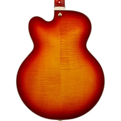Ibanez AF115-AWB image 3