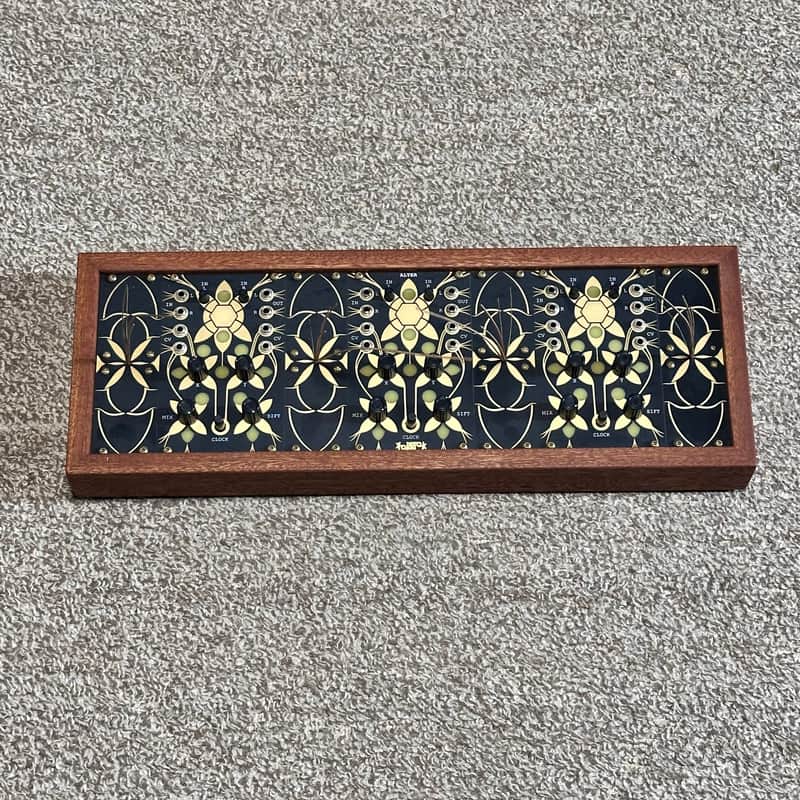 Folktek Resonant Garden Electro-Accoustic Instrument image 1