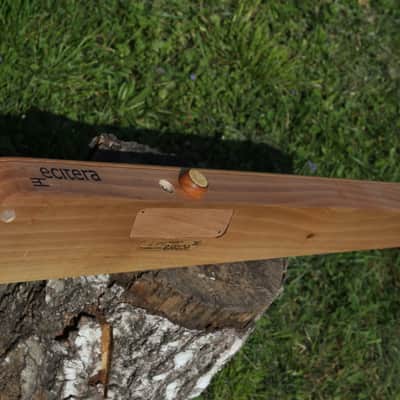 eCitera Electric Zither image 3