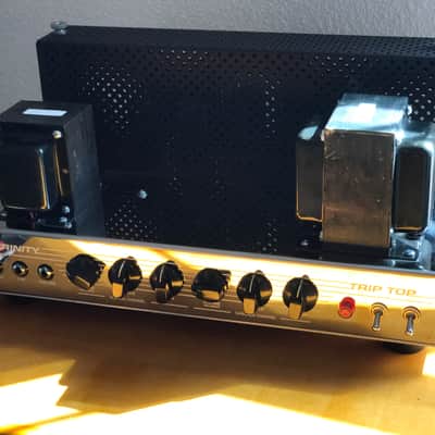 Trinity TripTop (Ampeg B-15 Clone) image 22