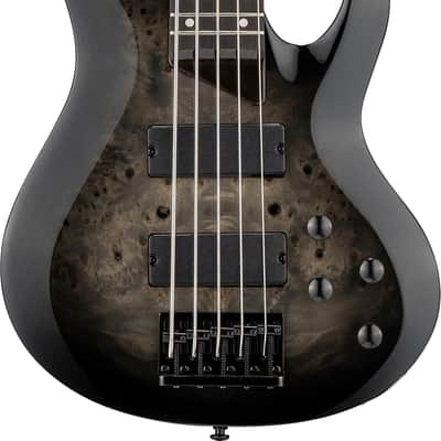 ESP LTD B-205DX 5-string Electric Bass Guitar - Black Burst Rosewood Fingerboard image 1