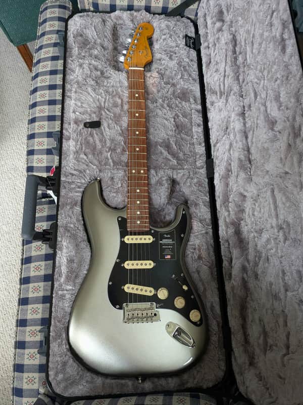 Fender American Professional II Stratocaster - Mercury image 1