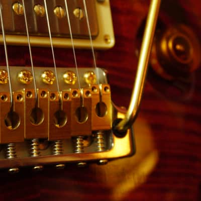 Paul Reed Smith Custom 22 Brazilian Limited Edition 10 Top (254 of 500) image 3