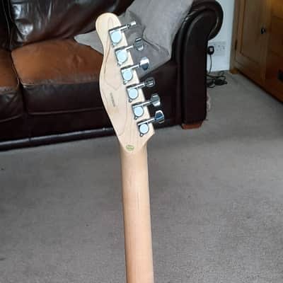 East Coast GT100 Telecaster image 4