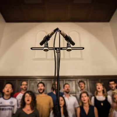 sE Electronics sE8 Small Diaphragm Cardioid Condenser Microphones - Matched Stereo Pair With Hard Case, Mic Clips, Stereo Bar, and Windscreens **TWO FREE 20FT MIC CABLES and FREE SHIPPING!** image 8