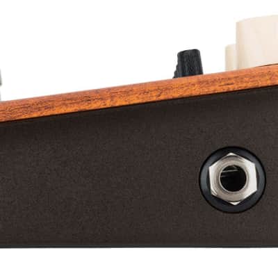 L.R. Baggs - Align Equalizer Pedal image 4