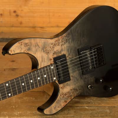 Schecter C-1 Standard - Roasted Maple - Black Fade Burst Burl - Left-Handed image 5