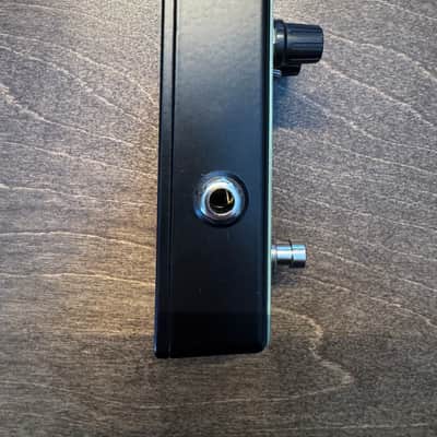 Acorn Amplifiers Epstein Didn't Kill Himself Fuzz image 7