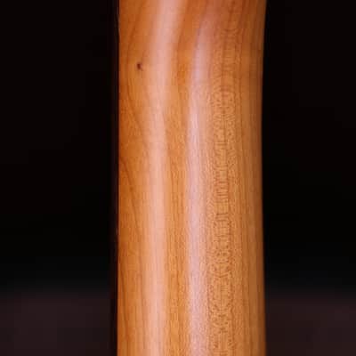 Dhatarattha HSS Strat-Style – White Nitro Relic image 9