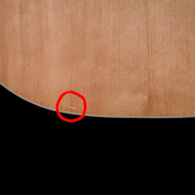 Aria Pro II PW25 Acoustic Dreadnought image 6