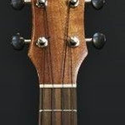 PukanaLa Model PU-MC-C Solid Sapele Mahogany Pro Series Concert Cutaway Ukulele image 5