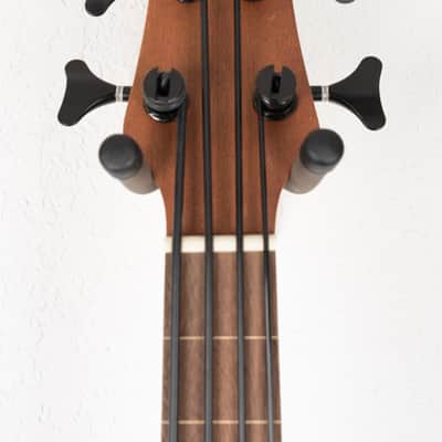 Gold Tone GT Series Micro Bass image 7