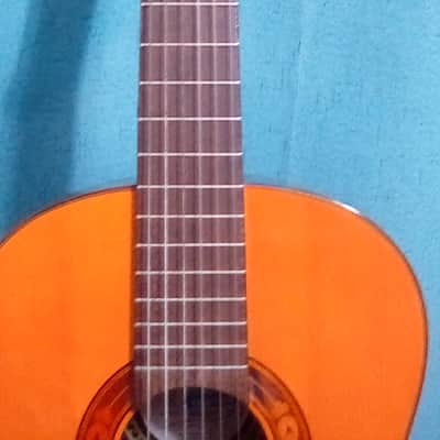 Beautiful Rare DiGiorgio Brazilian Classical Guitar Guarany C2 1979 image 7