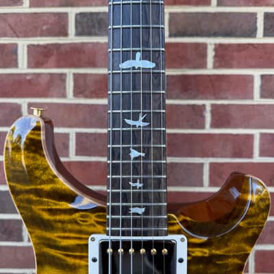 PRS Private Stock DGT, Dirty Blonde Glow, Wild West Coast Curly Maple Top, Ribbon Mahogany Body, Ziricote Neck & Fretboard image 6