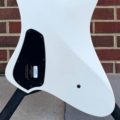 Dingwall D-Roc Standard 5-String, Matte Ducati Pearl White, Pau Ferro Fretboard, Dingwall Gig Bag image 7