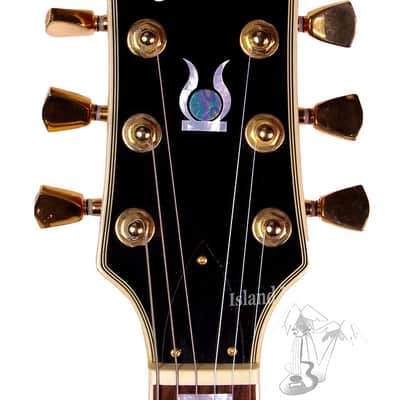 Jay Turser JT-220 Les Paul Style Electric Guitar image 3