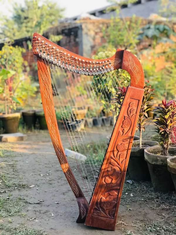 22-String Solid Rosewood Harp with Extra Strings & Padded Carrying Case - Perfect for Beginners image 1