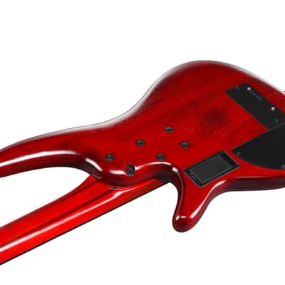 Ibanez Bass Workshop SRD900F Fretless Bass - Brown Topaz Burst image 7