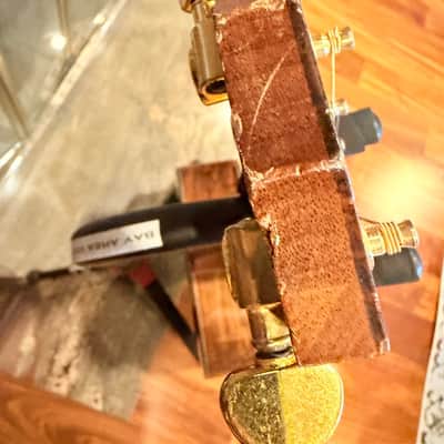 1995 Taylor GA-WS Limited Edition Acoustic Guitar w/OHSC image 11