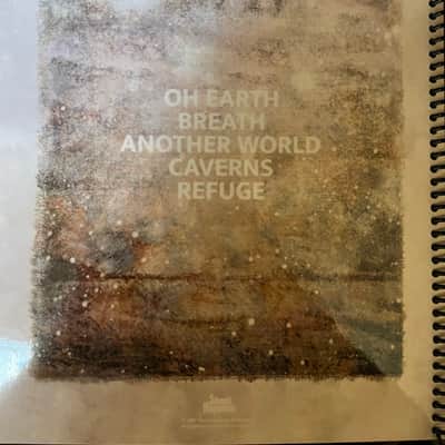 Jake Howsam Lowe - Oh Earth - Guitar tab / Tablature Book image 2