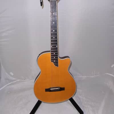 Epiphone SST Coupe 2018 - 2019 - Antique Natural image 1