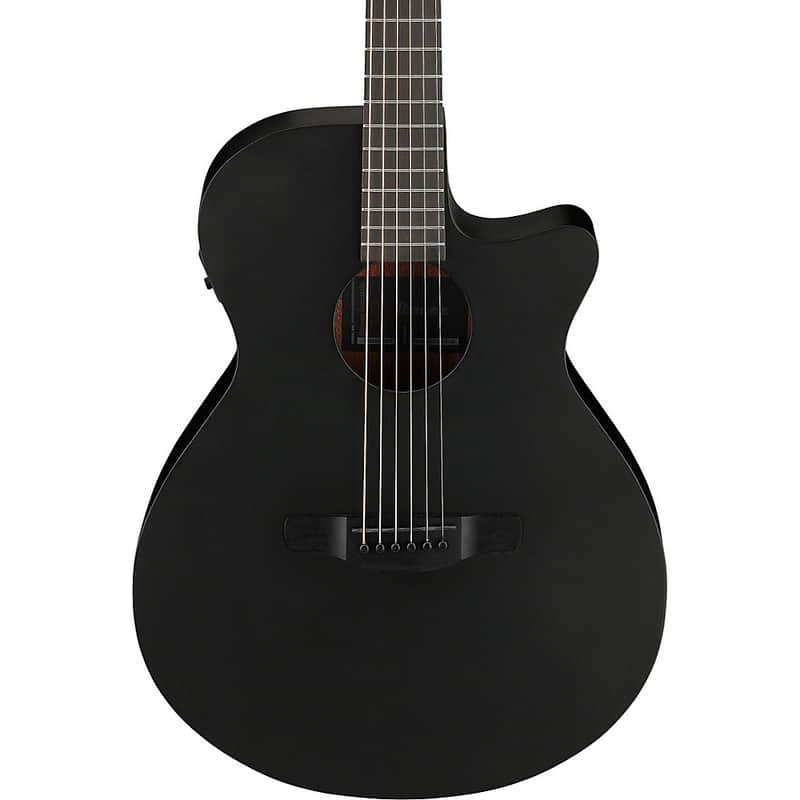 Ibanez AEG621 Auditorium Acoustic-Electric Guitar - Regular Black Out image 1
