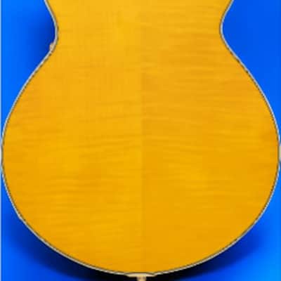 D'Angelico Excel SS Soho Single Cutaway Thinline Hollow Body, Amber* w/Gig Bag DAESSSAMBGT image 4