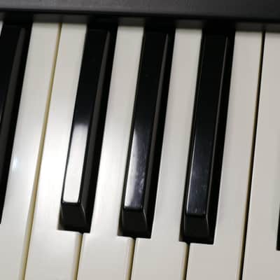 KORG MONO/POLY + Softcase + Overlay image 21