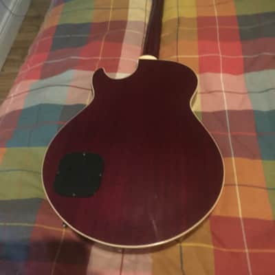 Ibanez AE500CW Red image 3