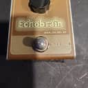 TC Electronic Echobrain Analog Delay 2020 - Present - Brown