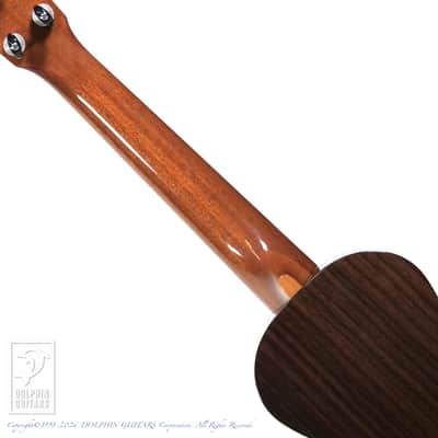 ASTURIAS <MIJ>Tiny Concert Spruce Rosewood  2020[Pre-Owned] image 5