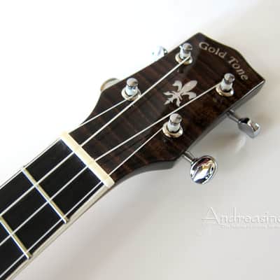 Gold Tone Banjolele Banjo Ukulele image 5