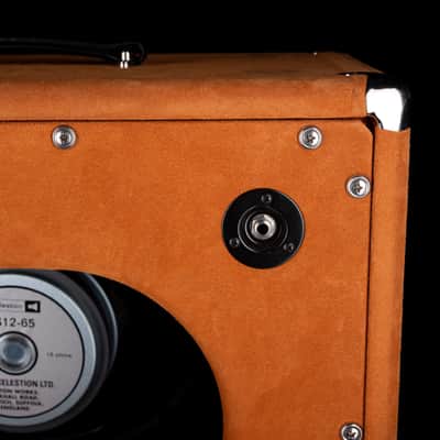 Pre-Owned  '22 Amplified Nation Bombshell 50-Watt Guitar Amp Head And 112 15-ohm 65-watt Matching Cab - Golden Brown Suede Owned by Ben Harper image 17