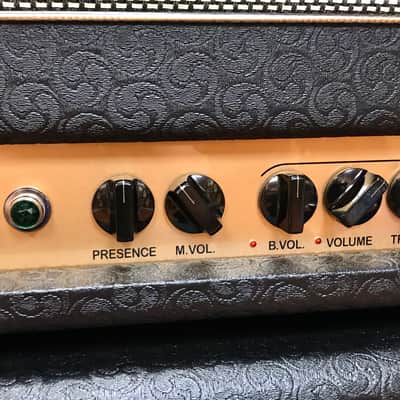 Bogner Shiva 20th Anniversary with 2x12 Cab image 4