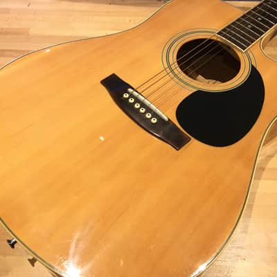 Dylon Electro Acoustic Dreadnought Guitar image 3